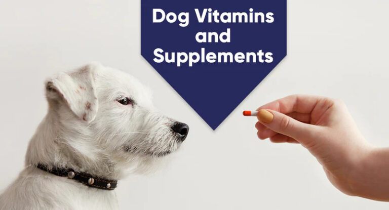 vitamins for dogs