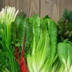 Benefits Of Green Leaves Vegetables For Good Health