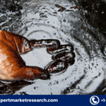 Crude Oil Market