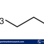 N-Propanol Market