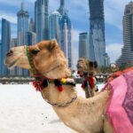 Beach dubai