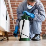Professional Pest Control