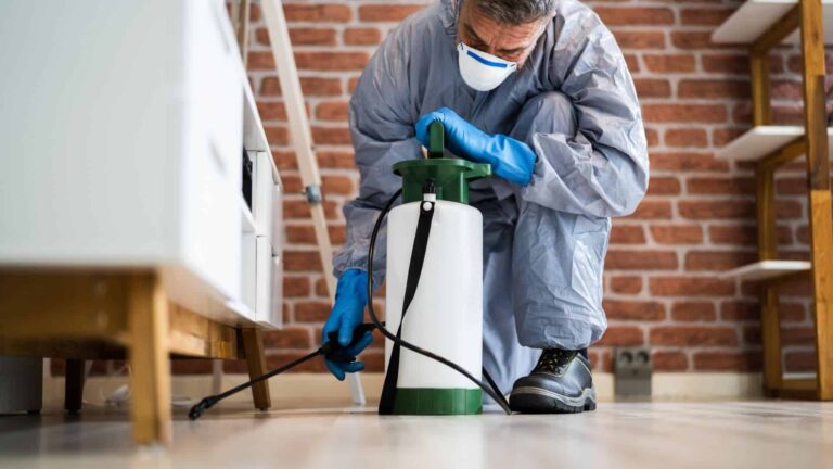 Professional Pest Control